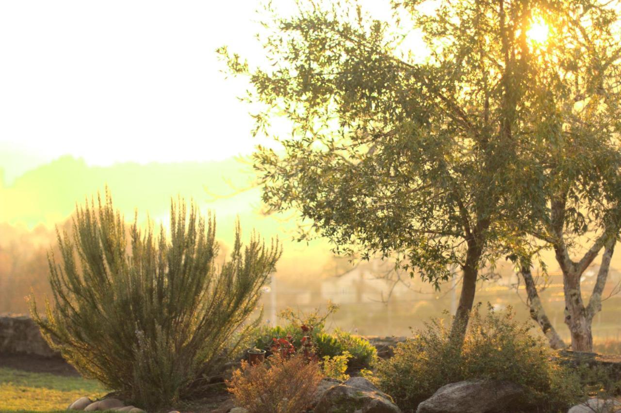 Vinosobroso Casa Rural Konuk evi Mondariz Dış mekan fotoğraf